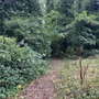 Crystal Palace Park - Secret Garden