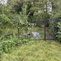 Crystal Palace Park - Secret Garden