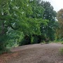 Crystal Palace Park - Dinosaur Island