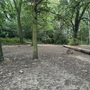 Crystal Palace Park - The Glades Woodland
