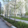 Wembley Urban Gardens