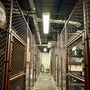 Tunnels & Hallways