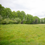 Aveling Fields