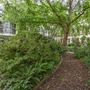 Waterloo Gardens West