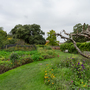 Fulham Palace - Walled Garden