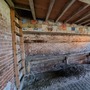 Sotterley Estate - Disused Barns and Stables