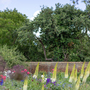 Chiswick House - Kitchen Garden