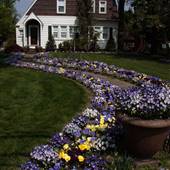 Hammonton - Homes
