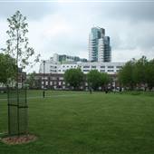 Tabard Gardens