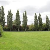 Kensington Memorial Park - Playing Fields 1