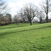 Broomhill Common