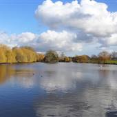 Harrow Lodge Park