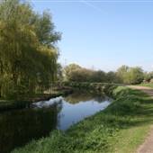 Fishers Green