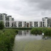 Heybourne Park Pond
