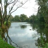 Totteridge Ponds