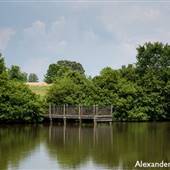 Alexander Park