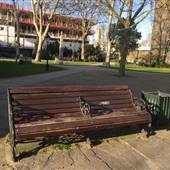 Dovehouse Green