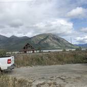 Around the Wild Wolves Yukon
