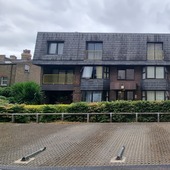 Elmwood COurt