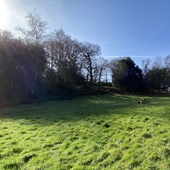 Greenspaces (Kingston University)
