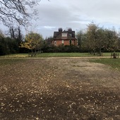 Cherry Orchard & Walled Garden (Chiswick House & Gardens)