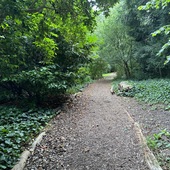 Strawberry Hill House - The Wilderness Woodland Walk 