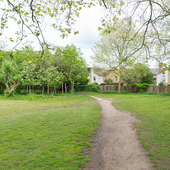 Aveling Fields