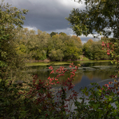 Fairlop Waters Country Park - Lakes