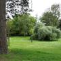 Lamorbey Park