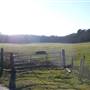 Scadbury Park Nature Reserve