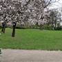 Camden Square Park