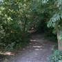 Croham Hurst