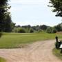 Croham Hurst