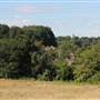 Littleheath Woods