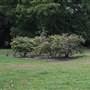 Norbury Hall Park