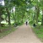St. Mary Magdalene Garden