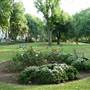 Camden Square Park