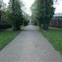 Stave Hill