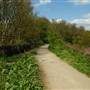 Parkland Walk