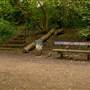Parkland Walk