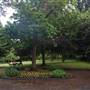 The Knoll