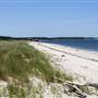 Peconic Dunes County Park