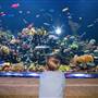 Long Island Aquarium