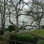 Lismore Circus