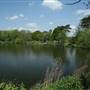 South Norwood Lake and Grounds