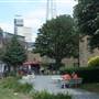 Tanner Street Park