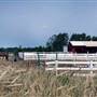 Hammonton - Condos and Vineyard