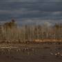 Egg Harbor Township - Lake and Shops