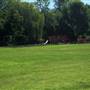 Belair Park