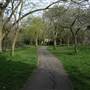 Brenchley Gardens